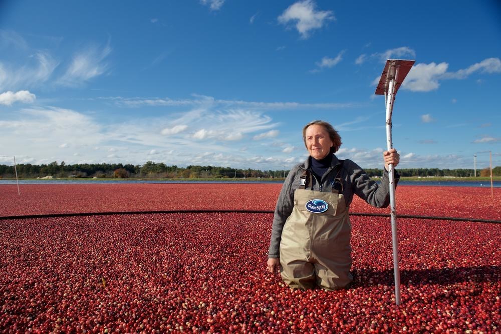 100% of Ocean Spray’s Cranberries Verified as Sustainably Grown Using FSA, becoming the First Fruit Cooperative Worldwide to achieve a 100% FSA Verification